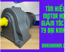 Tìm hiểu về Motor Hộp Số Giảm Tốc và Công Ty Đại Kinh Nam 