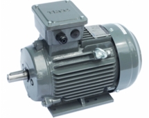 MOTOR ĐIỆN TECO