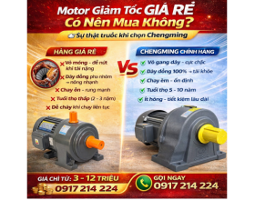 Motor Giảm Tốc Giá Rẻ Có Nên Mua Không? Sự Thật Cần Biết Trước Khi Chọn Chengming