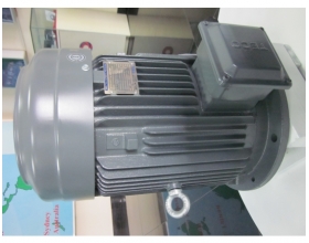 Motor Điện Teco Chân Đế 15kw