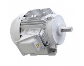 Motor Điện Toshiba Chân Đế 37kw