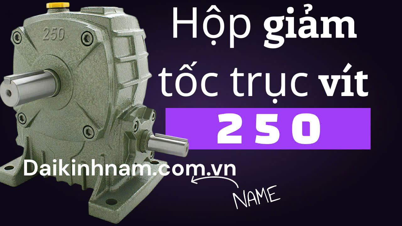 hộp giảm tốc trục vít 250